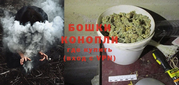 гидра Белоозёрский