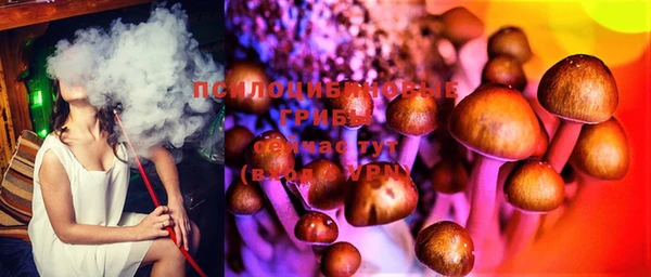 мет Белокуриха