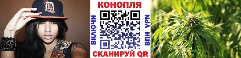 закладки Славгород Канабис гибрид